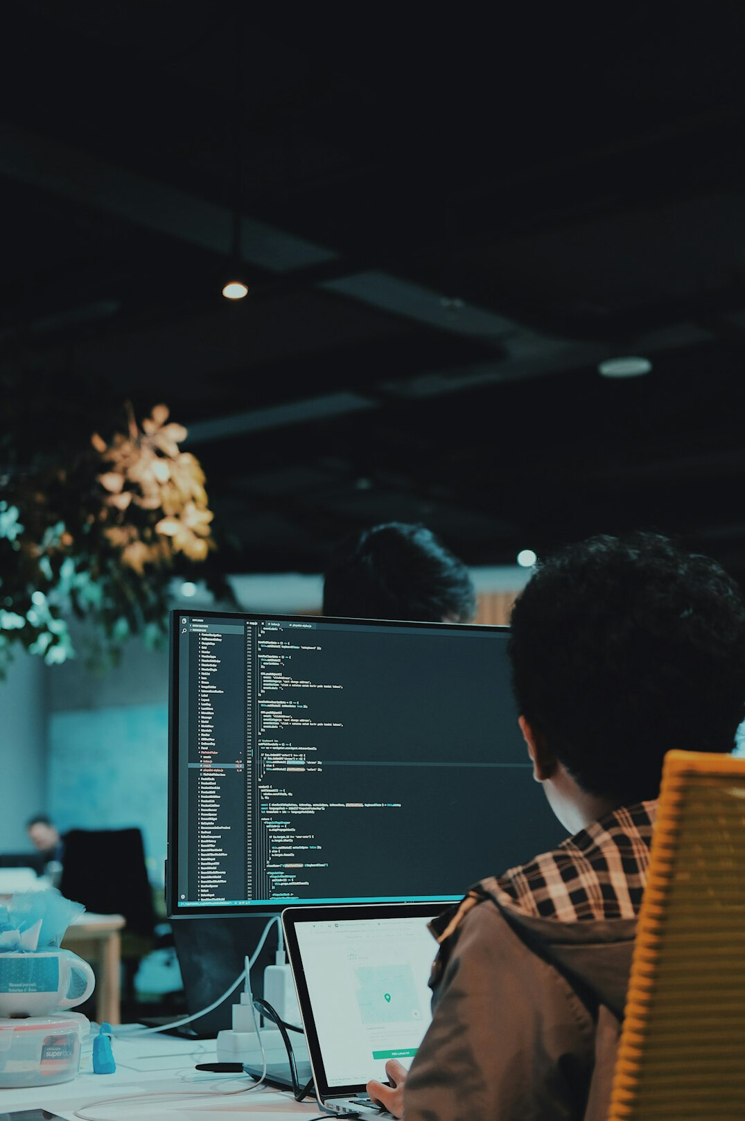 programmer coding insurance software